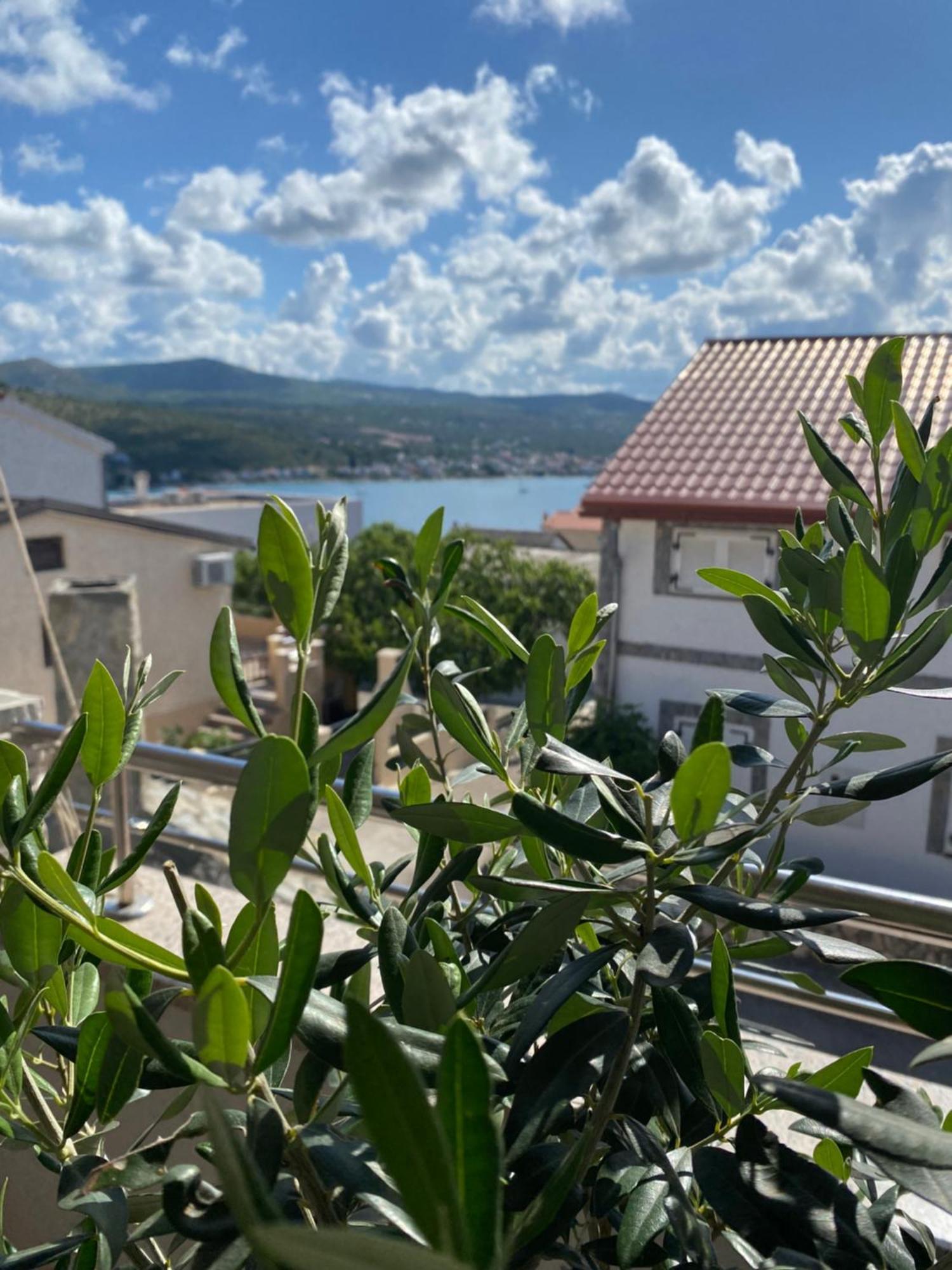 Apartment Tina Rogoznica  Εξωτερικό φωτογραφία